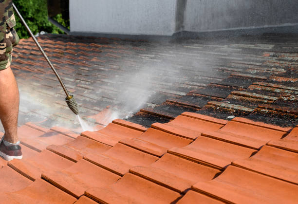 Best Pressure Washing Near Me  in Lebanon Junction, KY