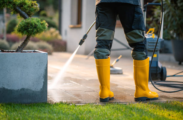 Best Roof Power Washing Services  in Lebanon Junction, KY